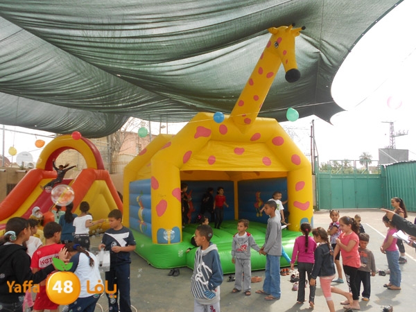 7era2lud3olascool (1).jpg